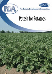 Potash for potatoes